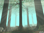 Peaceful Forest